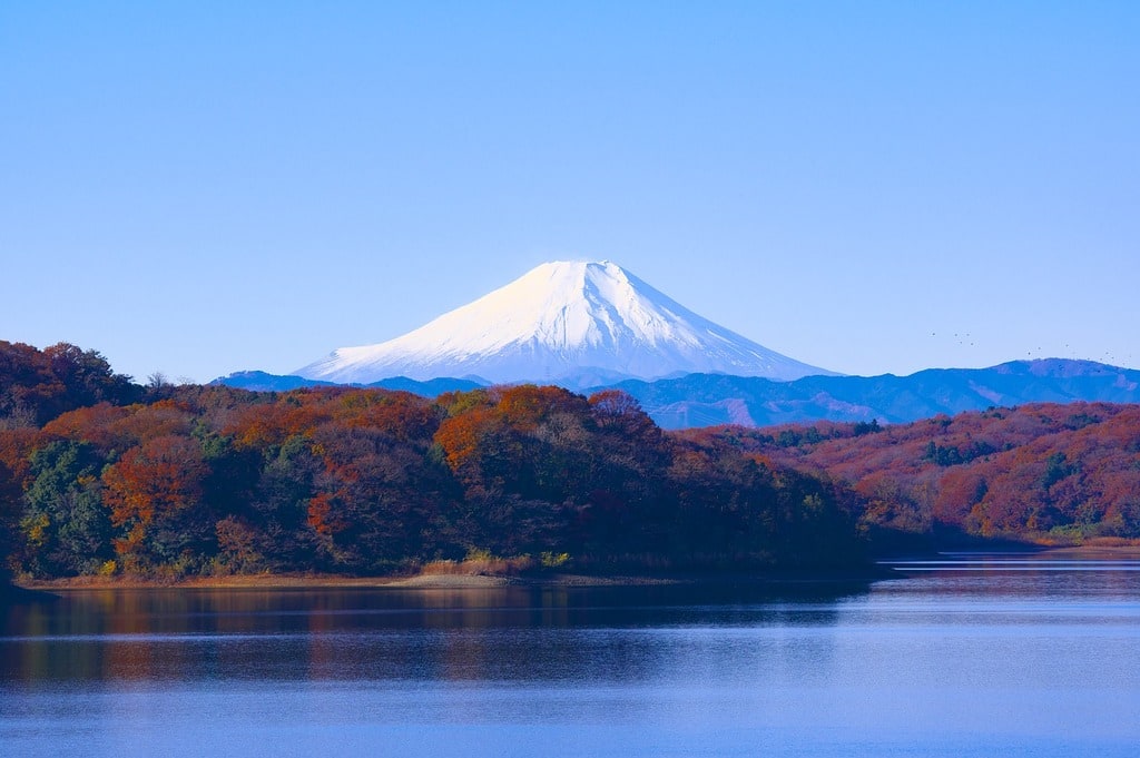 blog-image